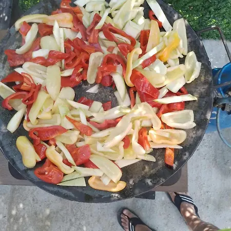 Vikendica Na Drini Holiday home