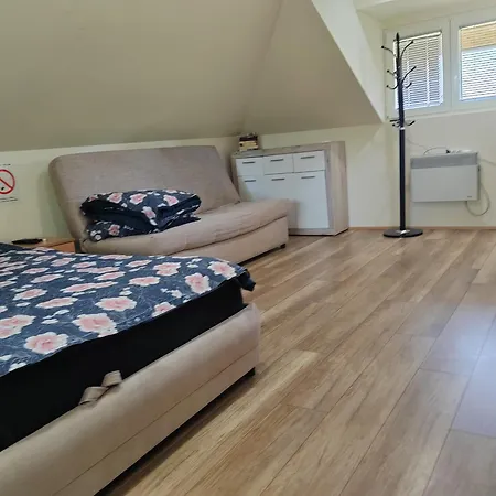 Vikendica Na Drini Holiday home *